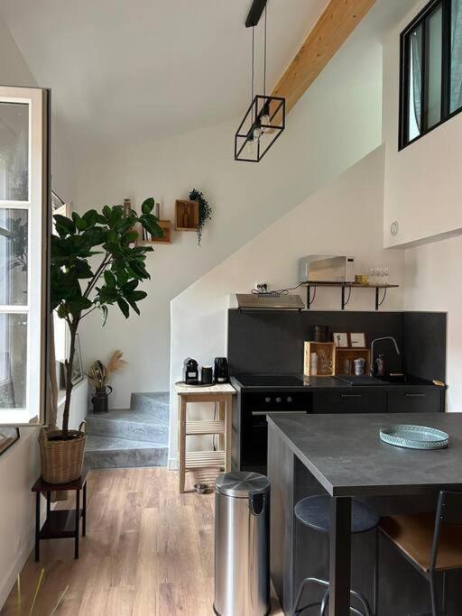 Le Duplex Catherine - Metro - Gare - Wifi Тулуза Экстерьер фото