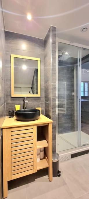 Le Duplex Catherine - Metro - Gare - Wifi Тулуза Экстерьер фото