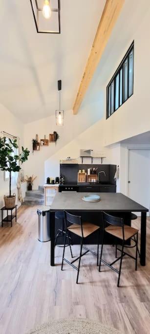 Le Duplex Catherine - Metro - Gare - Wifi Тулуза Экстерьер фото